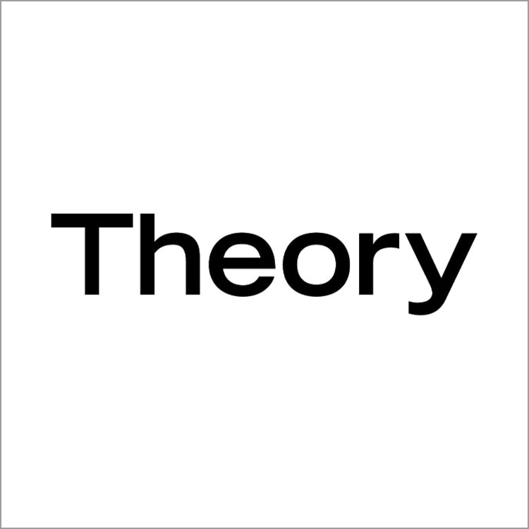 Theory image