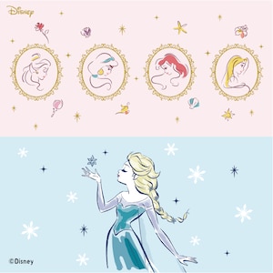 An artwork of Disney Heroines