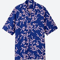 HAWAII_MENS_SHIRT