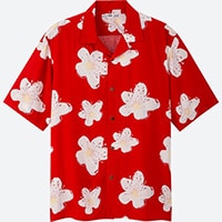 HAWAII_MENS_SHIRT
