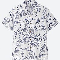 HAWAII_BOYS_SHIRT